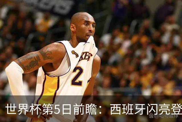 世界杯第5日前瞻：西班牙闪亮登场 伊沙亮相力争开门红